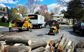 Best Leaf Removal  in Woodsfield, OH