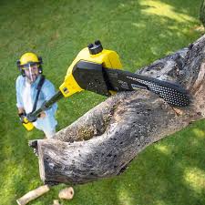 Best Lot and Land Clearing  in Woodsfield, OH
