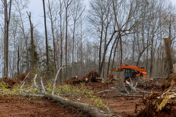 Best Soil Testing and Treatment  in Woodsfield, OH