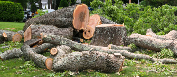 Best Lawn Pest Prevention  in Woodsfield, OH